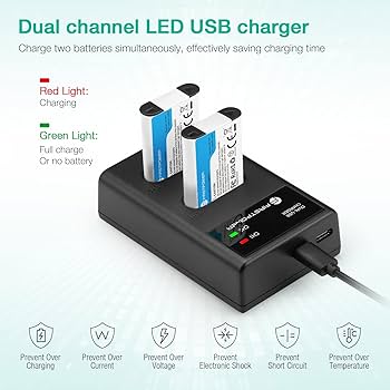 Amazon.com : FirstPower NP-BX1 Battery 2-Pack and Dual USB